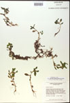 000017982-thumbnail.jpg