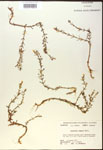 000017985-thumbnail.jpg