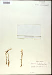 000017986-thumbnail.jpg