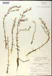 000017988-thumbnail.jpg