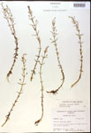 000017989-thumbnail.jpg