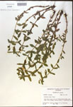 000017991-thumbnail.jpg