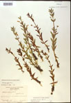 000017992-thumbnail.jpg