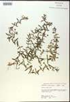 000017993-thumbnail.jpg