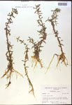 000017995-thumbnail.jpg
