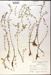 000017996-thumbnail.jpg