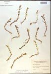 000017997-thumbnail.jpg