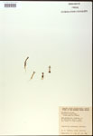 000017998-thumbnail.jpg