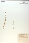 000017999-thumbnail.jpg