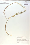000018000-thumbnail.jpg