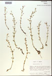 000018001-thumbnail.jpg