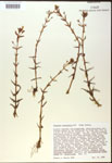 000018002-thumbnail.jpg