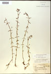 000018004-thumbnail.jpg