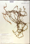 000018005-thumbnail.jpg