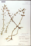 000018006-thumbnail.jpg