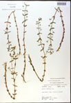 000018007-thumbnail.jpg