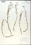 000018009-thumbnail.jpg