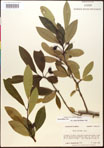 000018012-thumbnail.jpg