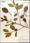 000018013-thumbnail.jpg