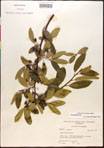 000018014-thumbnail.jpg