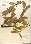 000018018-thumbnail.jpg
