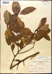 000018019-thumbnail.jpg