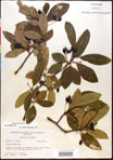 000018020-thumbnail.jpg