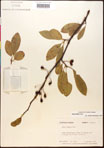 000018022-thumbnail.jpg