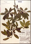 000018023-thumbnail.jpg