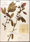 000018024-thumbnail.jpg