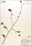 000018027-thumbnail.jpg