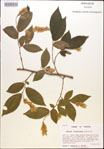 000018029-thumbnail.jpg