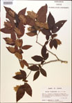000018030-thumbnail.jpg