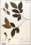 000018032-thumbnail.jpg