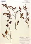 000018034-thumbnail.jpg