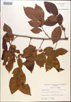 000018041-thumbnail.jpg