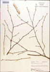 000018044-thumbnail.jpg