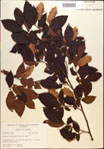 000018045-thumbnail.jpg