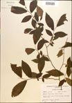 000018046-thumbnail.jpg
