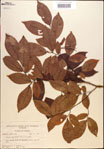 000018047-thumbnail.jpg