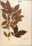 000018048-thumbnail.jpg