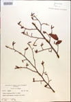 000018049-thumbnail.jpg