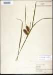 000018067-thumbnail.jpg