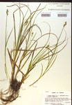 000018133-thumbnail.jpg