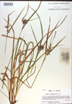 000018134-thumbnail.jpg