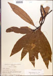 000018140-thumbnail.jpg