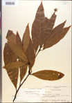 000018141-thumbnail.jpg