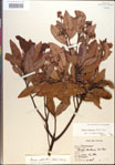 000018144-thumbnail.jpg