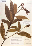 000018147-thumbnail.jpg