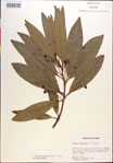 000018148-thumbnail.jpg